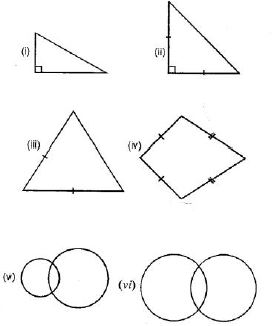 Selina-Concise-Solutions-for-ICSE-Class-6-Mathematics-Chapter-30-Revision-Exercise-Symmetry-10