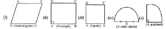 Selina-Concise-Solutions-for-ICSE-Class-6-Mathematics-Chapter-30-Revision-Exercise-Symmetry-2
