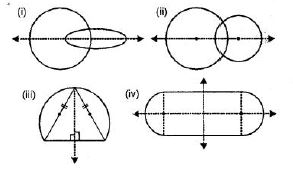 Selina-Concise-Solutions-for-ICSE-Class-6-Mathematics-Chapter-30-Revision-Exercise-Symmetry-6