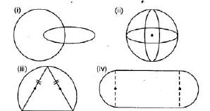Selina-Concise-Solutions-for-ICSE-Class-6-Mathematics-Chapter-30-Revision-Exercise-Symmetry-8