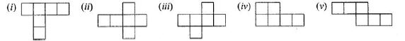 Selina-Concise-Solutions-for-ICSE-Class-6-Mathematics-Chapter-31-Recognition-of-Solids-10