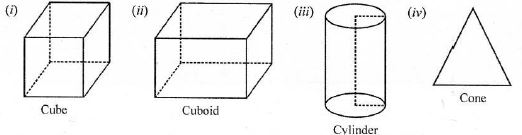 Selina-Concise-Solutions-for-ICSE-Class-6-Mathematics-Chapter-31-Recognition-of-Solids-6