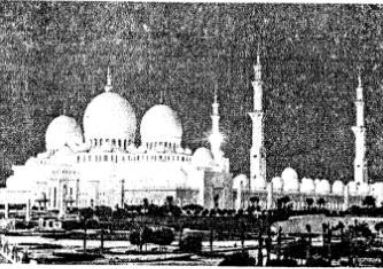 Selina-Concise-Solutions-for-ICSE-Class-7-History-Civics-Chapter-2-Rise-and-Spread-of-Islam