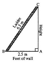 Selina-Concise-Solutions-for-ICSE-Class-7-Mathematics-Chapter-16-Pythagoras-Theorem-1