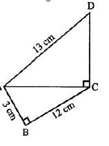Selina-Concise-Solutions-for-ICSE-Class-7-Mathematics-Chapter-16-Pythagoras-Theorem-2