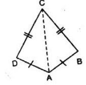 Selina-Concise-Solutions-for-ICSE-Class-7-Mathematics-Chapter-19-Congruency-Congruent-Triangles-11