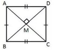 Selina-Concise-Solutions-for-ICSE-Class-9-Mathematics-Chapter-14-Rectilinear-Figures