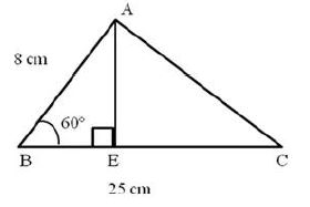 Selina-Concise-Solutions-for-ICSE-Class-9-Mathematics-Chapter-24-Solution-Of-Right-Triangles-2