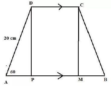Selina-Concise-Solutions-for-ICSE-Class-9-Mathematics-Chapter-24-Solution-Of-Right-Triangles-3