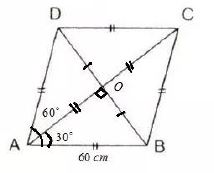 Selina-Concise-Solutions-for-ICSE-Class-9-Mathematics-Chapter-24-Solution-Of-Right-Triangles-5