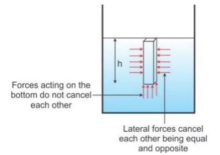 Selina-Concise-Solutions-for-ICSE-Class-9-Physics-Chapter-5-Upthrust-In-Fluids-Archimedes-Principle-And-Floatation-1
