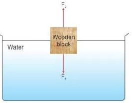 Selina-Concise-Solutions-for-ICSE-Class-9-Physics-Chapter-5-Upthrust-In-Fluids-Archimedes-Principle-And-Floatation-3