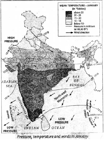 Voyage Solutions-for-ICSE-Class-8-Geography-Chapter-10-India-Climate-Natural-Vegetation-Forests-And-Wildlife-1