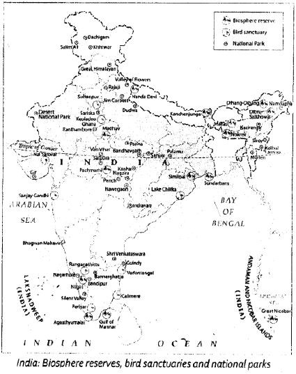 Voyage Solutions-for-ICSE-Class-8-Geography-Chapter-10-India-Climate-Natural-Vegetation-Forests-And-Wildlife-2