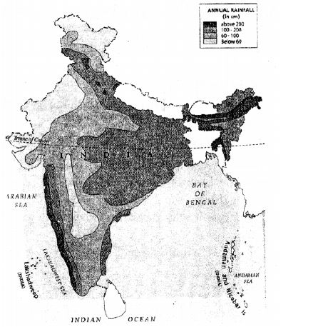 Voyage Solutions-for-ICSE-Class-8-Geography-Chapter-10-India-Climate-Natural-Vegetation-Forests-And-Wildlife