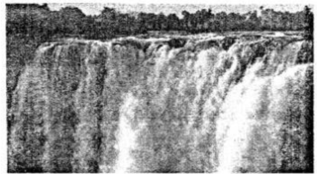 Voyage-Solutions-for-ICSE-Class-7-Geography-Chapter-14-Africa-Location-Area-Political-Physical-Features-2