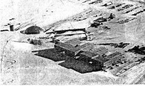 Voyage-Solutions-for-ICSE-Class-7-Geography-Chapter-18-Antarctica-Location-Physical-Features-Climate-Natural-Vegetation-4