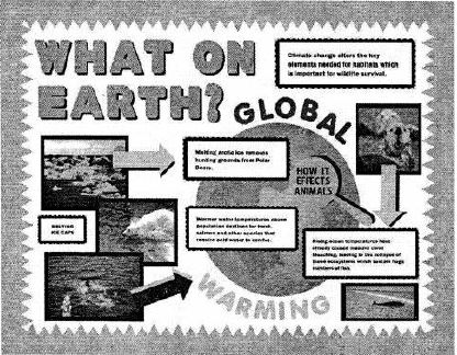 Voyage-Solutions-for-ICSE-Class-7-Geography-Chapter-4-Greenhouse-Effect-And-Global-Warming