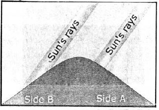 Voyage-Solutions-for-ICSE-Class-7-Geography-Chapter-5-Study-Of-Weather