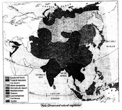 Voyage-Solutions-for-ICSE-Class-8-Geography-Chapter-8-Asia-Climate-And-Natural-Vegetation