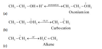 CBSE Class 12 Chemistry Haloalkanes Haloarenes 16