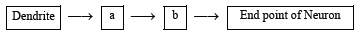 CBSE Class 12 Science Question Paper 