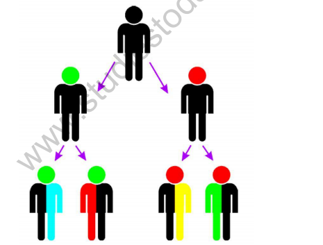 CBSE _Class _10_science_heredity_2