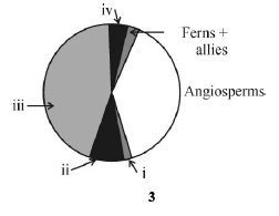 CBSE _Class _12 BiologyPICS_Question_PaperS_4