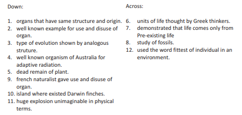 CBSE-CLASS-12-BIOLOGY-EVOLUTION_CROSS_WORD_2