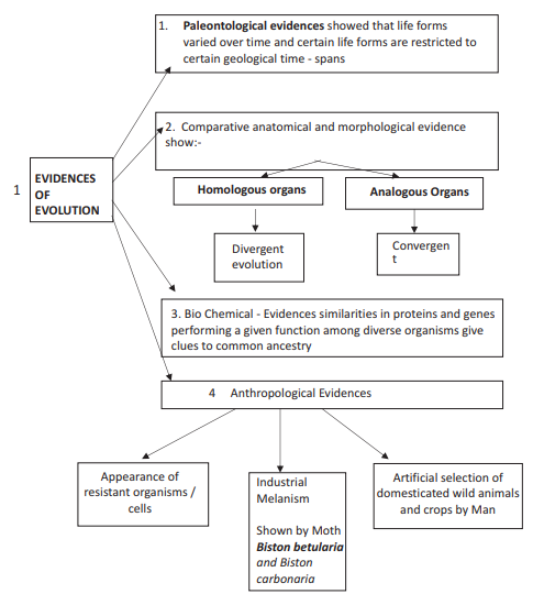 CBSE-CLASS-12-BIOLOGY-EVOLUTION_KEY_POINT_1