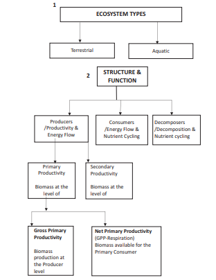 CBSE_CLASS-12_BIOLOGY_ECOSYSTEM_FLOW_CHART_1