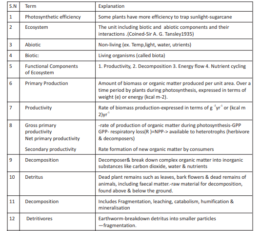 CBSE_CLASS-12_BIOLOGY_ECOSYSTEM_KEY_POINT_1