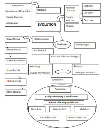 CBSE_CLASS-12_BIOLOGY_EVOLUTION_CONCEPT_MAP_1