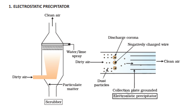 CBSE_CLASS-12_BIOLOGY_EVOLUTION_ISSUSE_3