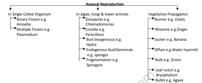 CBSE_CLASS_12_BIOLOGY_2