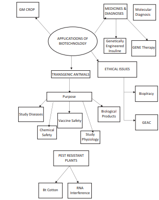 CBSE_CLASS_12_BIOLOGY_AND_APPLICATION_2