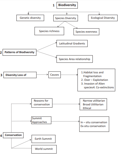 Species Diversity Chart