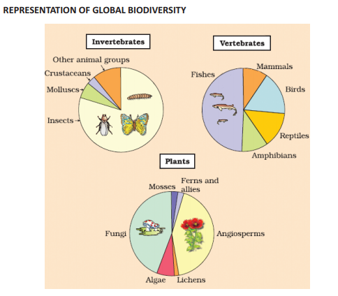 class biodiversity conservation diagrams biology cbse below link pdf please file