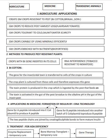 Bio Chart