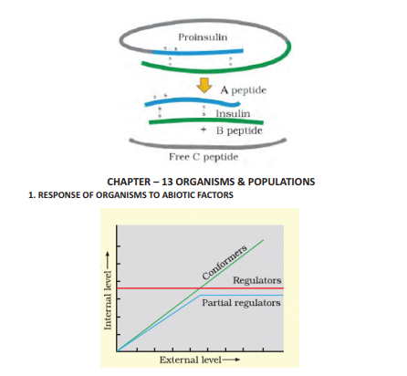 CBSE_CLASS_12_BIOLOGY_BIOTECHNOLOGY_3