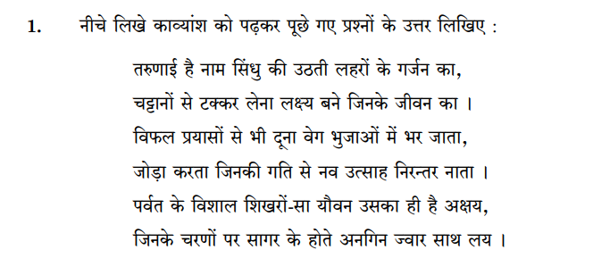 CBSE_Class_12 HindiOUTD_Question_Paper_1