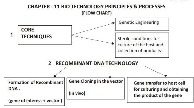 Bio Chart