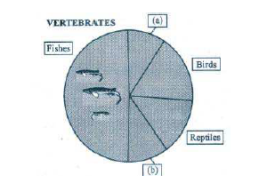 CBSE_Class_12_PhysicsSA1_Question_Paper_F1