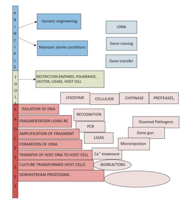 Class_12_Biology_useful_Resource_1