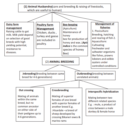CBSE Class 12 Biology Strategies For Enhancement In Food Production Flow  Chart