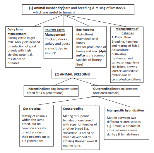 Animal Husbandry Chart