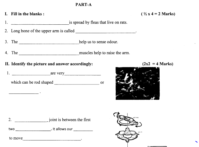 Class_5_Science_Question_Paper_1