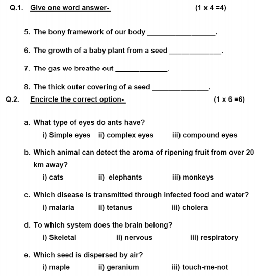 science-worksheets-for-grade-5-light-and-shadow-db-excelcom-science