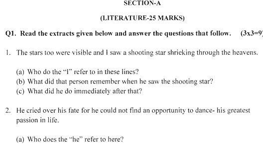 Class_6_English_Question_Paper_2