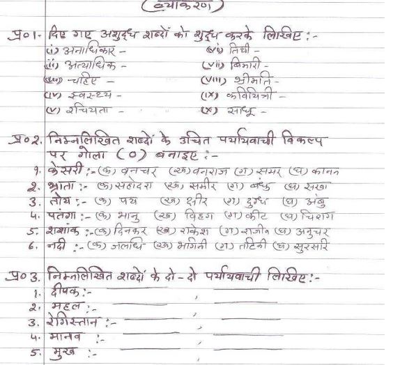 CBSE Class 6 Hindi Sample Paper Set Y